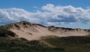 The Dunes at Greenwich